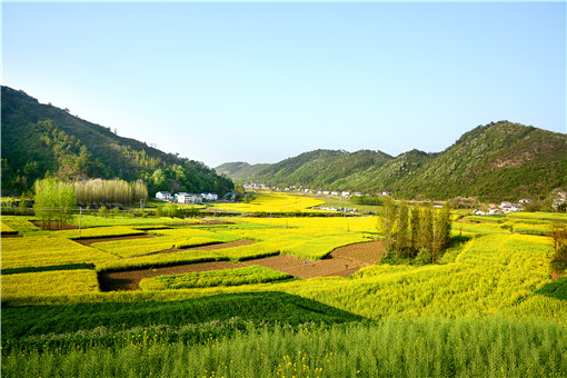 2021年中央一號文件關于農(nóng)村土地承包政策-攝圖網(wǎng)